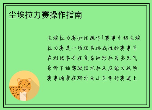 尘埃拉力赛操作指南
