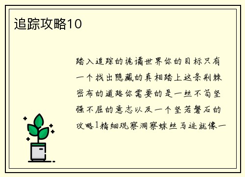 追踪攻略10